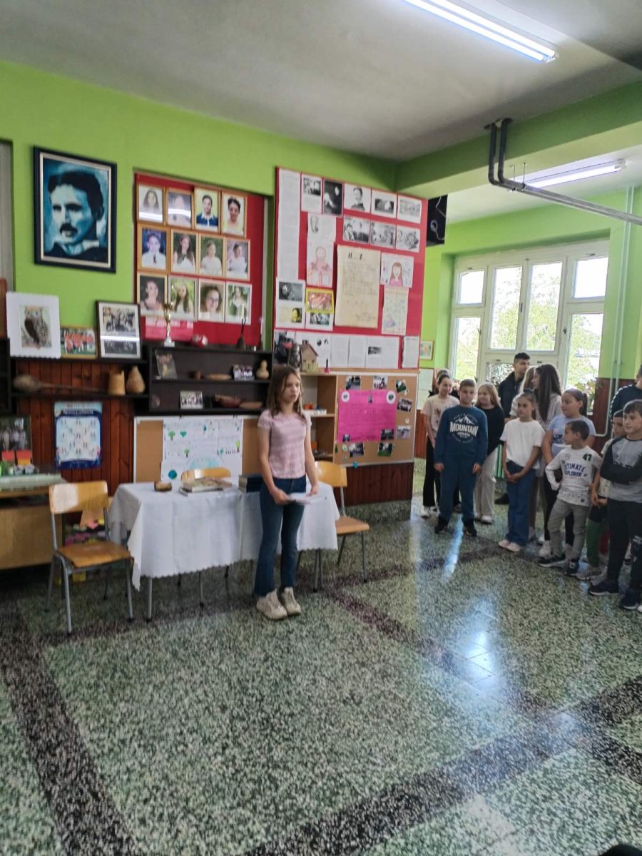 viber_image_2024-05-25_11-05-38-467