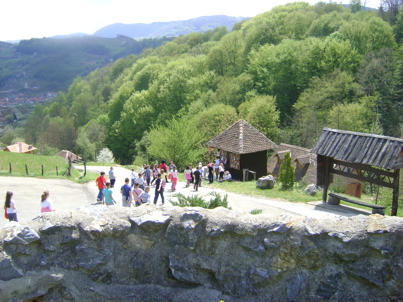 DSC01385