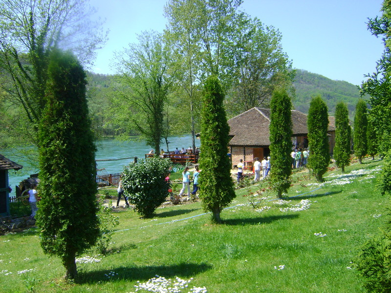 DSC01398