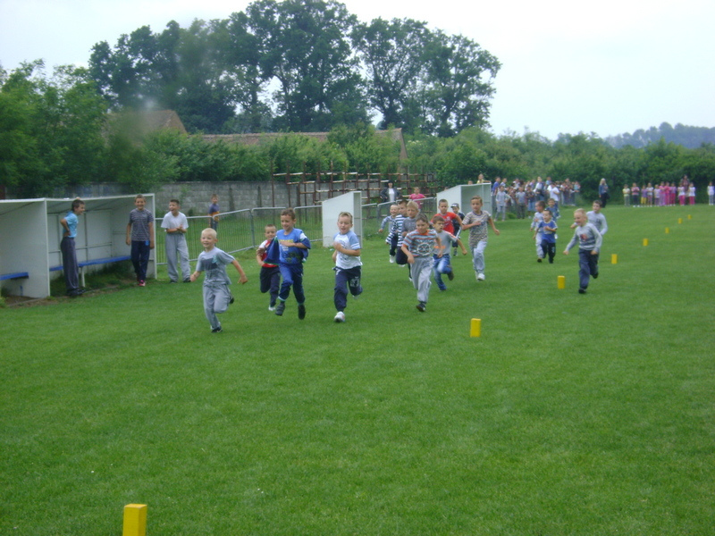 DSC01461